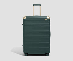 The Aluminum Edge Large in Ivy Green