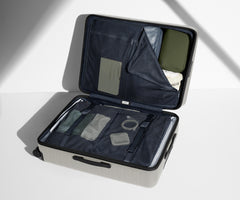 The Large in Cloud Gray