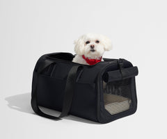 The Pet Carrier in Jet Black