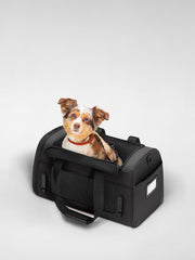 The Pet Carrier