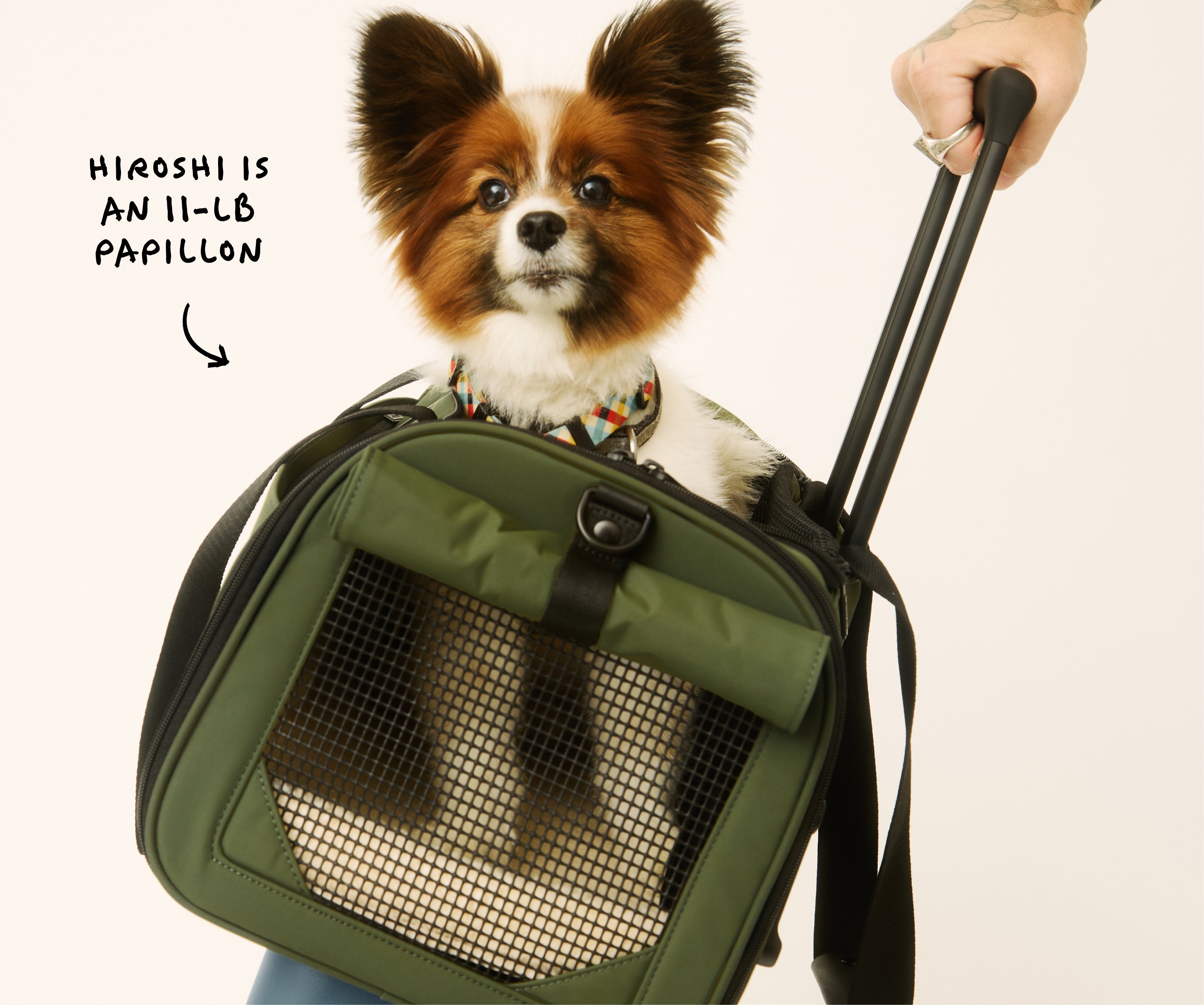 The Pet Carrier in Olive Green