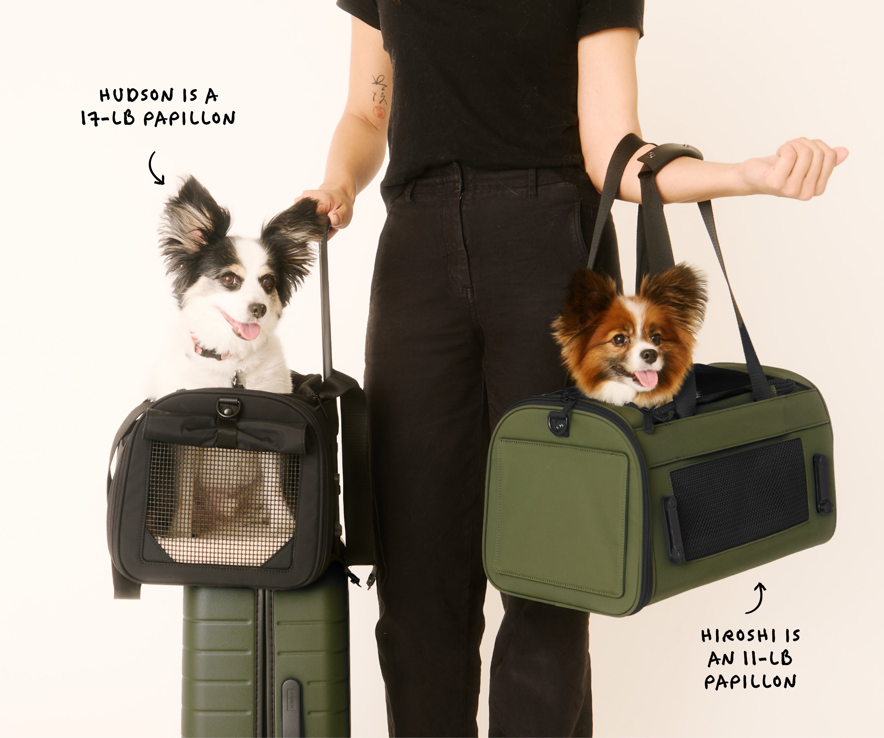 The Pet Carrier in Olive Green