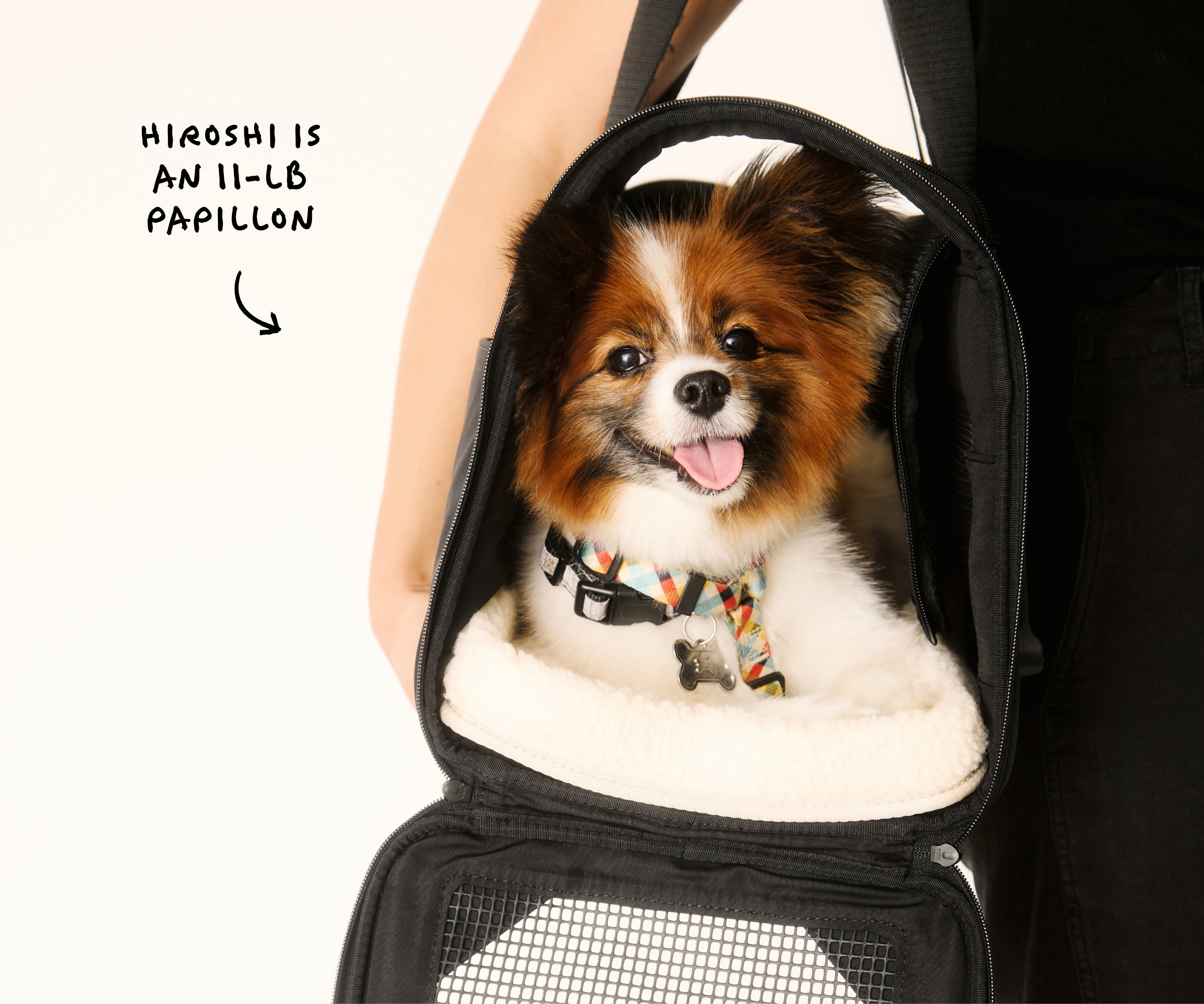 The Pet Carrier in Jet Black