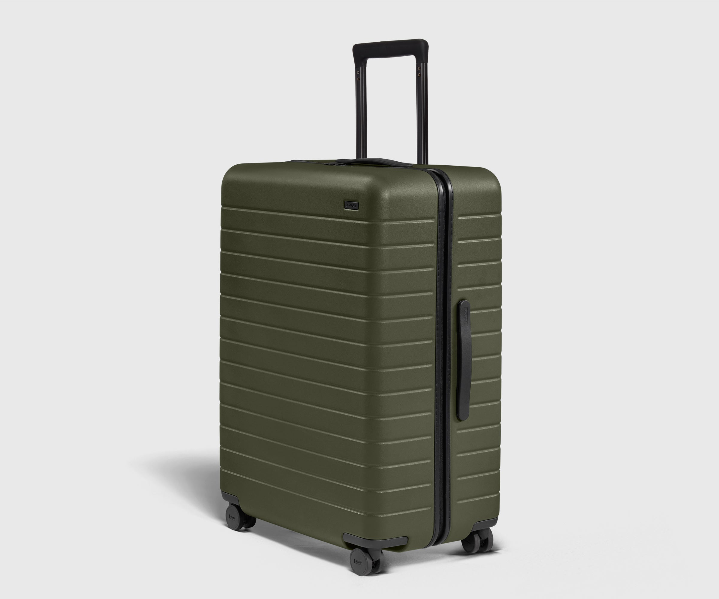 The Large in Olive Green