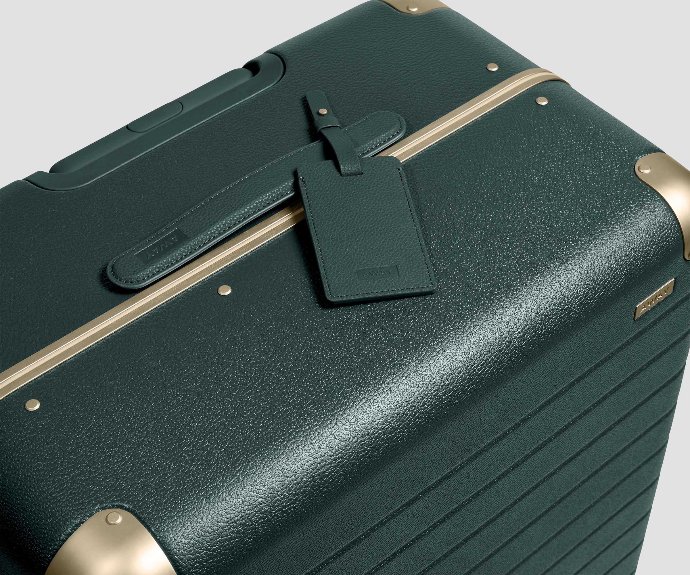 The Aluminum Edge Large in Ivy Green