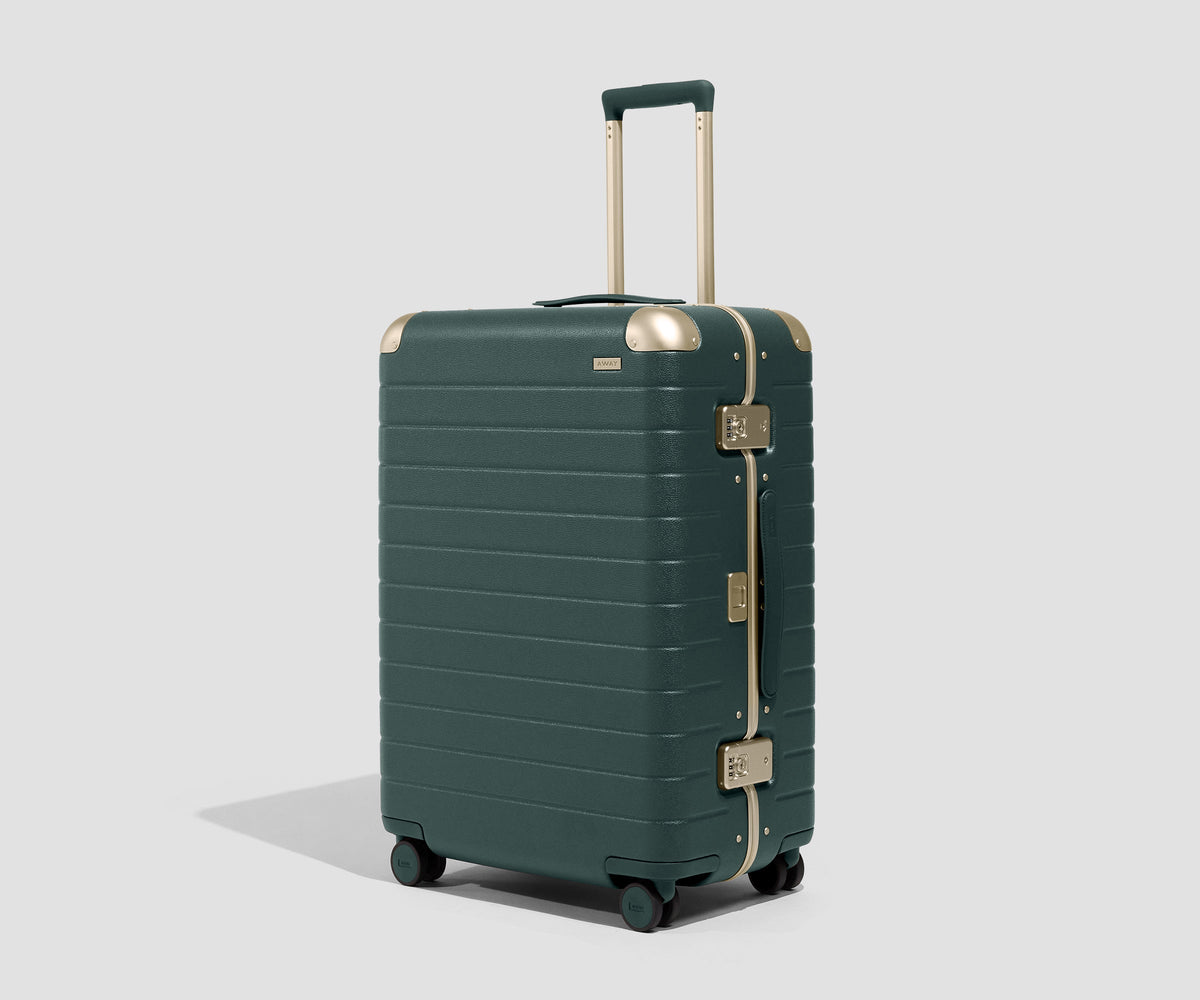 The Aluminum Edge Medium in Ivy Green