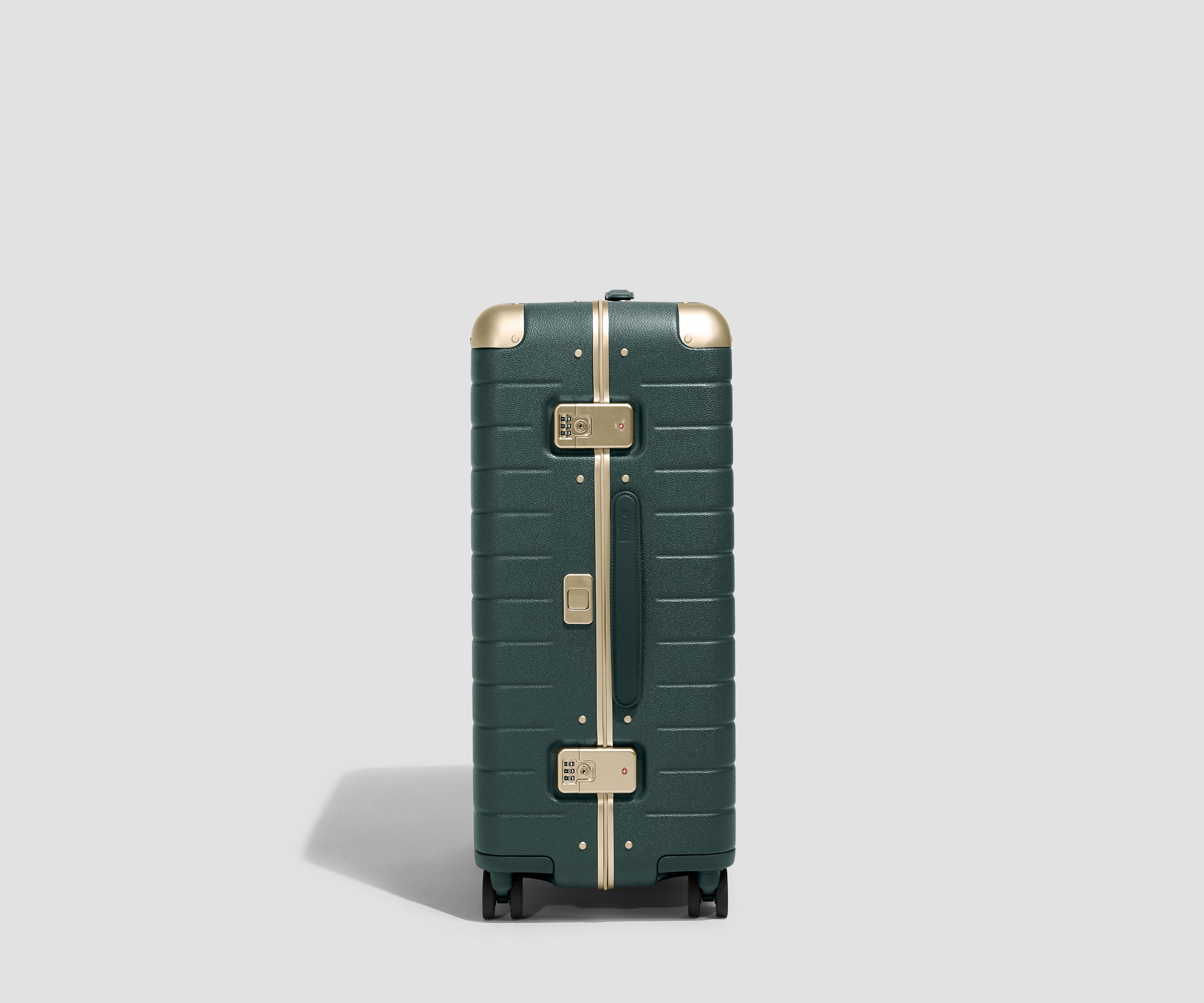 The Aluminum Edge Medium in Ivy Green