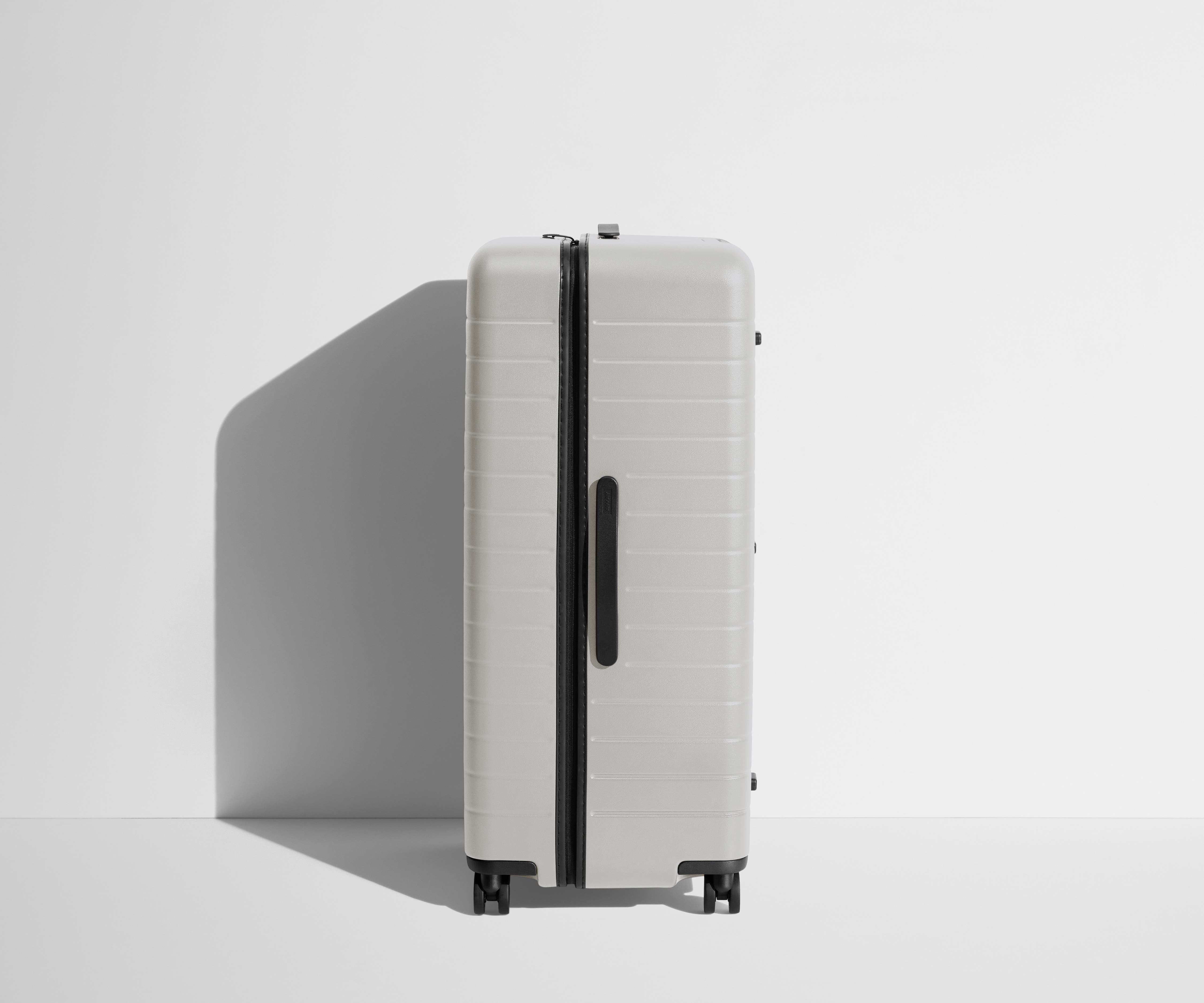 The Trunk in Cloud Gray