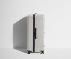 The Trunk in Cloud Gray