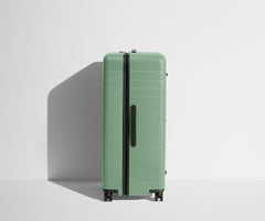 The Trunk in Sea Green