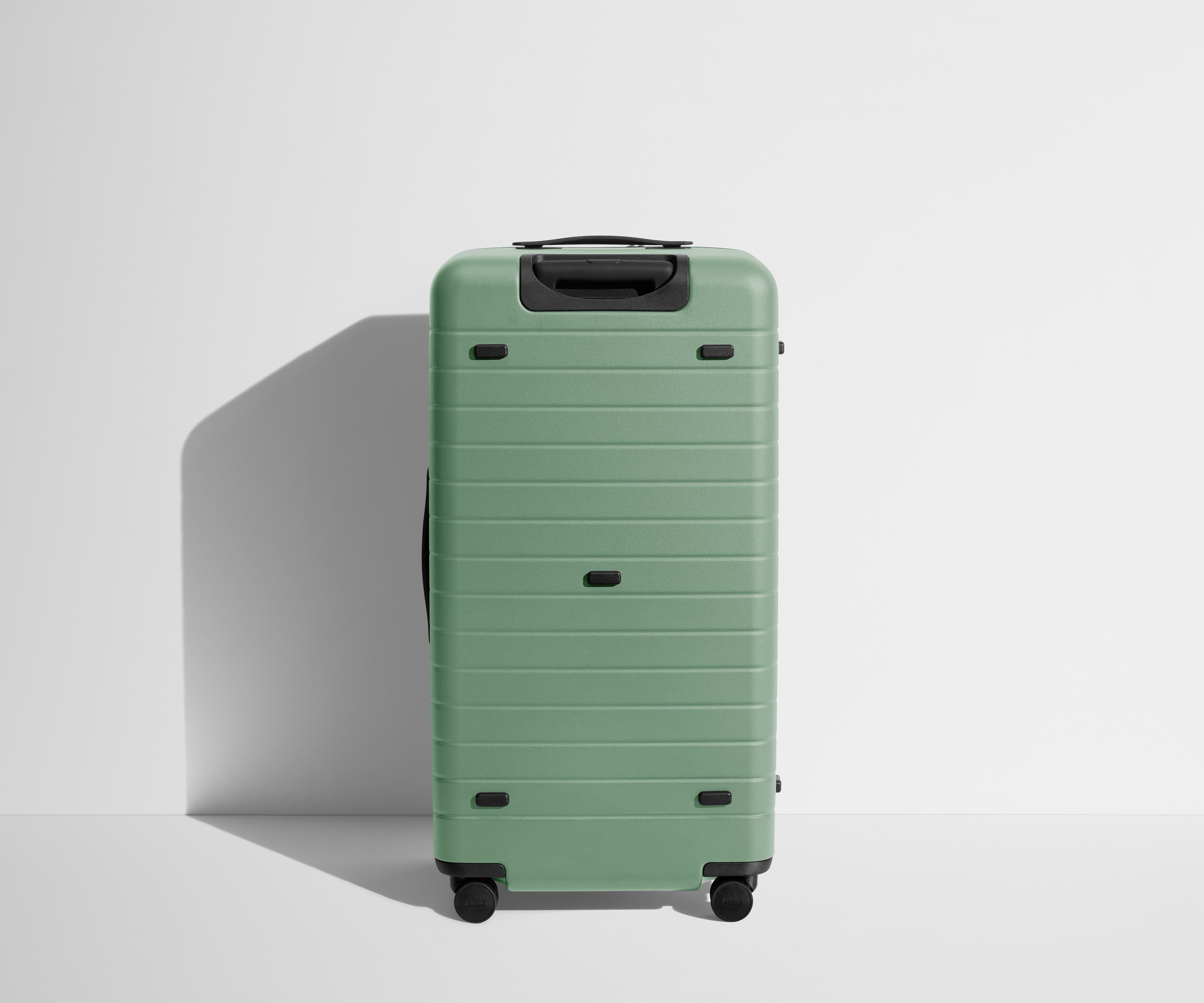 The Trunk in Sea Green