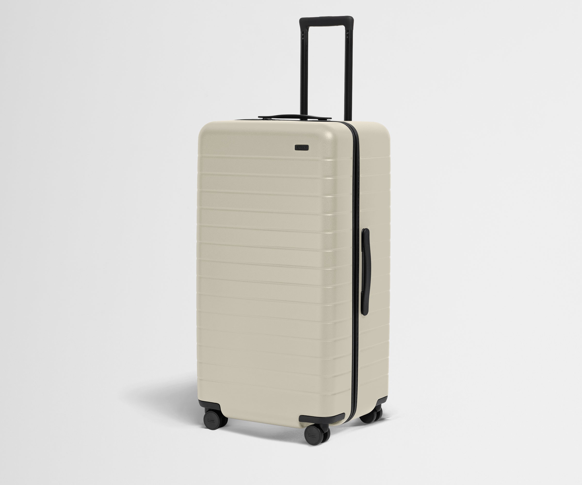 The Trunk in Salt White