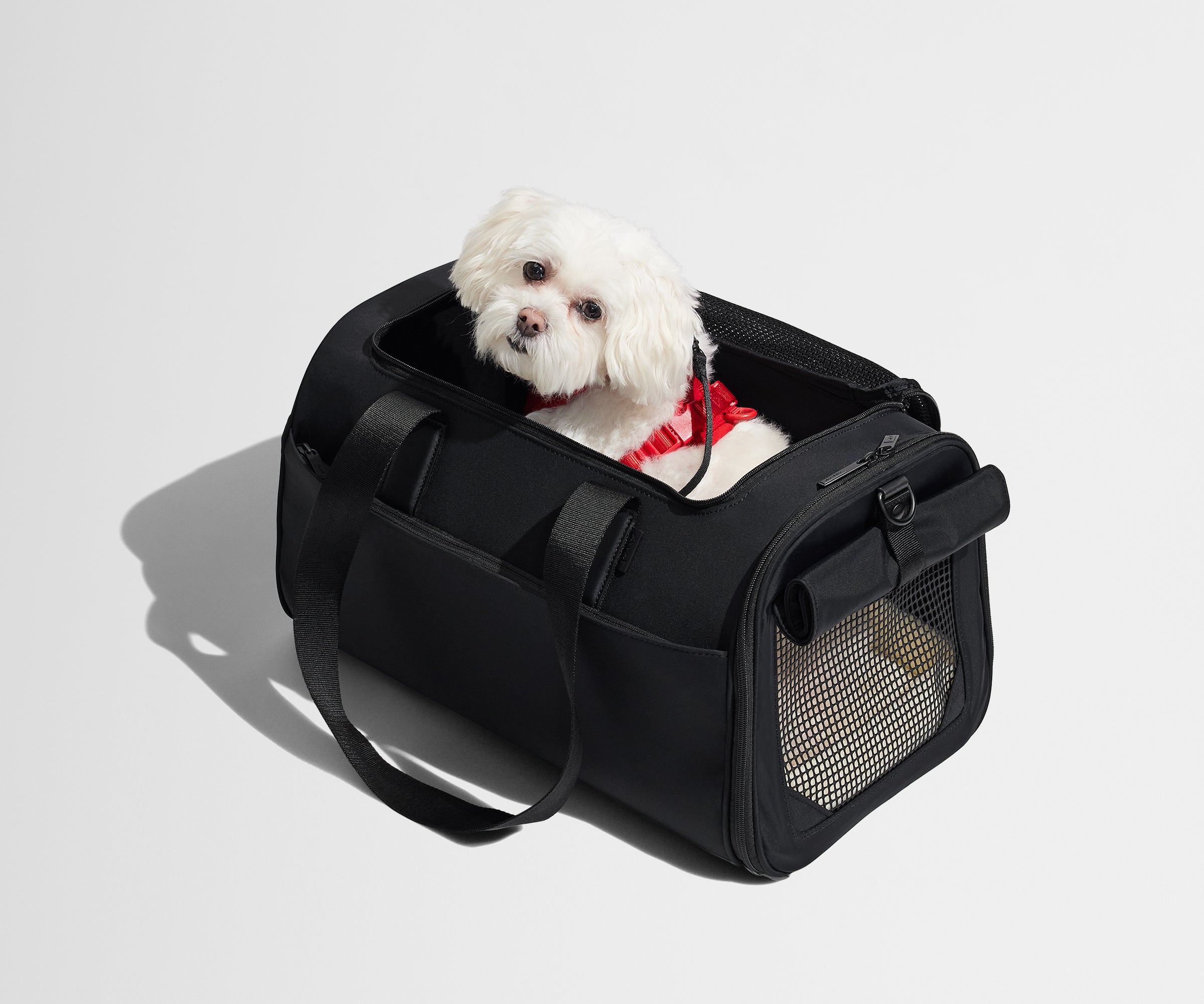 The Pet Carrier in Jet Black