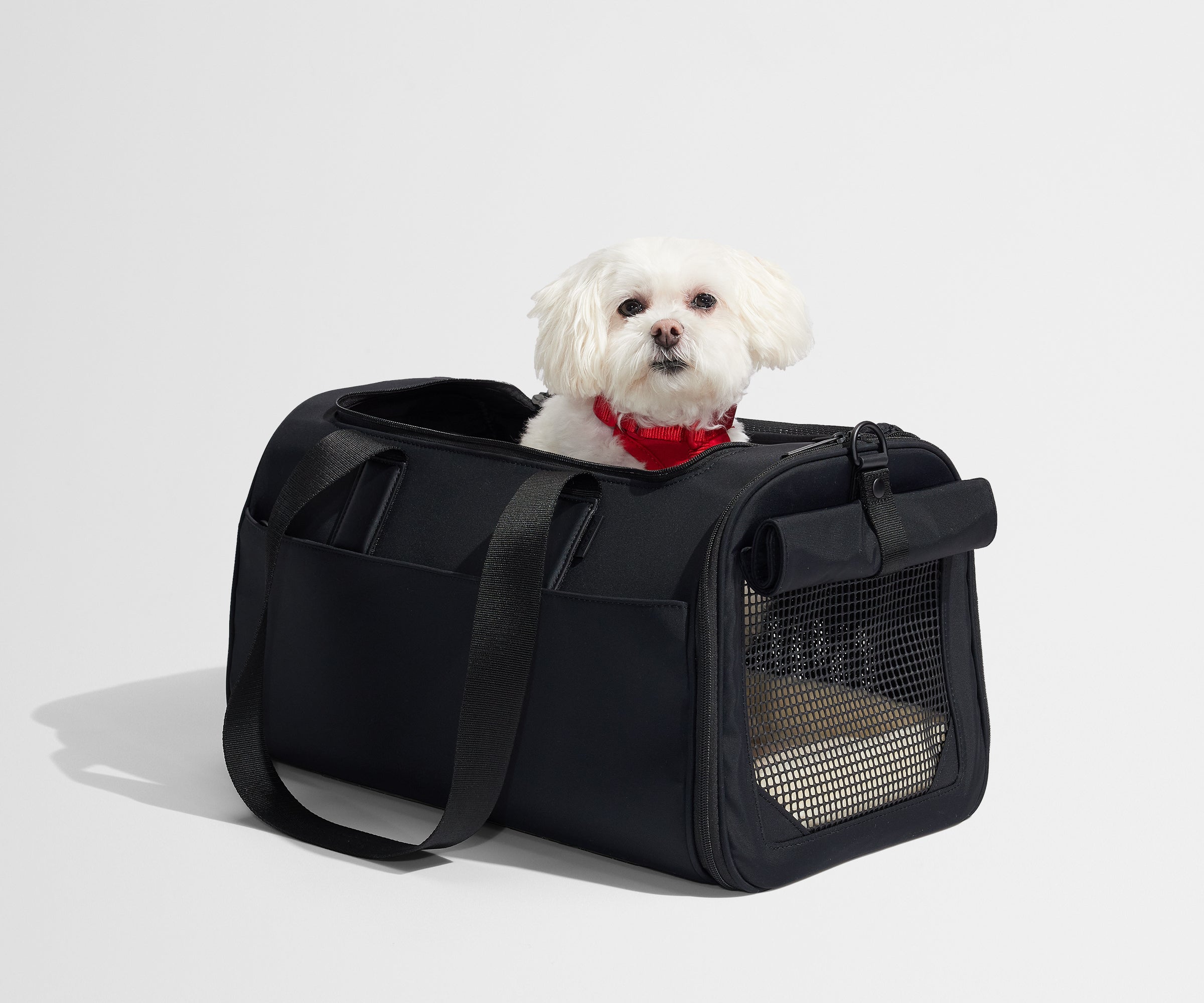 The Pet Carrier in Jet Black