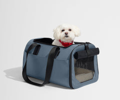 The Pet Carrier in Coast Blue
