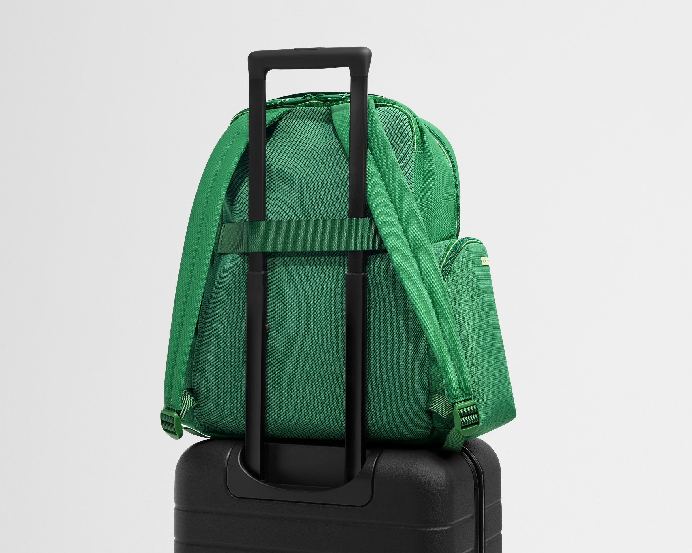 Sport Backpack in Clubhouse Green